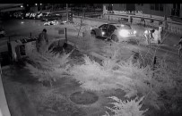 Maskeli 5'Ler Horoz Peşinde