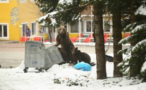 Uyanır uyanmaz şehre indiler