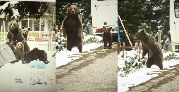 Uyanır uyanmaz şehre indiler