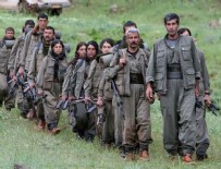 500 kişi silah bıraktı! PKK'ya büyük darbe