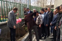 ARİF KARAMAN - Adilcevaz'da Çiftçilere 6 Bin 500 Fidan Dağıtıldı