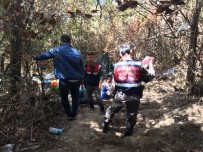 AVSALLAR - Antalya'da Hint Keneviri Operasyonu