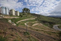 Karşıyaka'da 3 Yılda 50 Bin Fidan Toprakla Buluştu