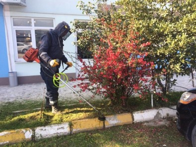 Körfez'de Bahar Temizliği İçin Başlatılan Çalışmalar Sürüyor