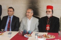 SÜRYANI - Mardin'de 2 Bin Zeytin Ağacı Dikildi