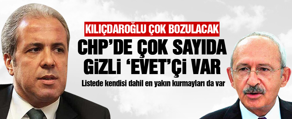 Şamil Tayyar: CHP'de çok sayıda gizli 'evet'çi var