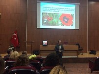 AĞRI TEDAVİSİ - Aydın'da Morfin Kullanımı Eğitimi Yapıldı