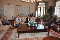 KUTLU DOĞUM - STK'lardan Vali Güvençer'e Davet