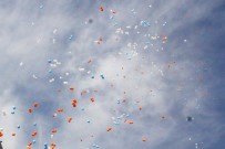 ALİ GÜVEN - 81 İlde 'Evet Balonları' Uçuruldu