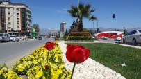 FAZLA MESAİ - Alaşehir Parkları Yeşilleniyor