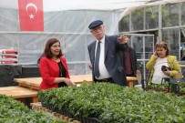 OYUNCAK KÜTÜPHANESİ - Başkan Kurt, Park Ve Bahçeler Müdürlüğünü Gezdi