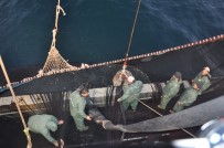 Müdürden Avlanma Uyarısı