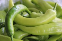 KIRMIZI BİBER - Şanlıurfa'da Yeşil Biberde Rekor Düşüş