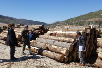 Yığılca'da Orman Ürünleri Depoları Denetlendi