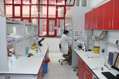 BEÜ Tıbbi Mikrobiyoloji Laboratuvarında Yenileme Çalışmaları Yapıldı