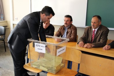 Sivas'ta Oy Verme İşlemi Tamamlandı