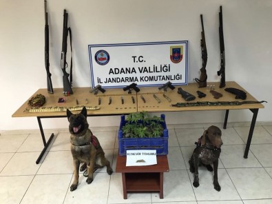 Adana'da Uyuşturucu Ve Silah Operasyonu