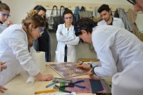 GRAFIK TASARıM - Bülent Ecevit Üniversitesi Ereğli'de Mozaik Atölyesi Kurdu