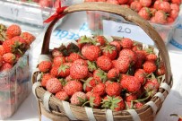 ERDEMIR - Padişah Sofralarının Vazgeçilmeziydi Açıklaması Üreticiler Gün Sayıyor