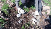 FREKANS - Bitlis'te EYP Düzeneği Bulundu