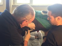 YARIŞ ATI - İngiliz Yarış Atına Müthiş Operasyon