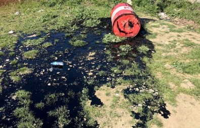 Tekirdağ'da Çevre Katliamı Önlendi