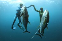 EREN ARSLAN - Zıpkınla Balık Avlama Türkiye Şampiyonası Ören'de Yapılacak