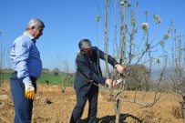 DURHASAN - İzmit Belediyesinden Uygulama Merkezi