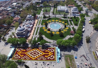 Bin 453 Metrekarelik Canlı Lale Halısı Sultanahmet Meydanı'nda