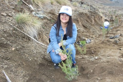 Binlerce Fidan Toprakla Buluştu