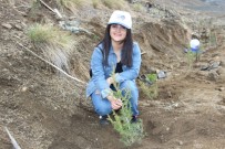 KUTLU DOĞUM HAFTASı - Binlerce Fidan Toprakla Buluştu