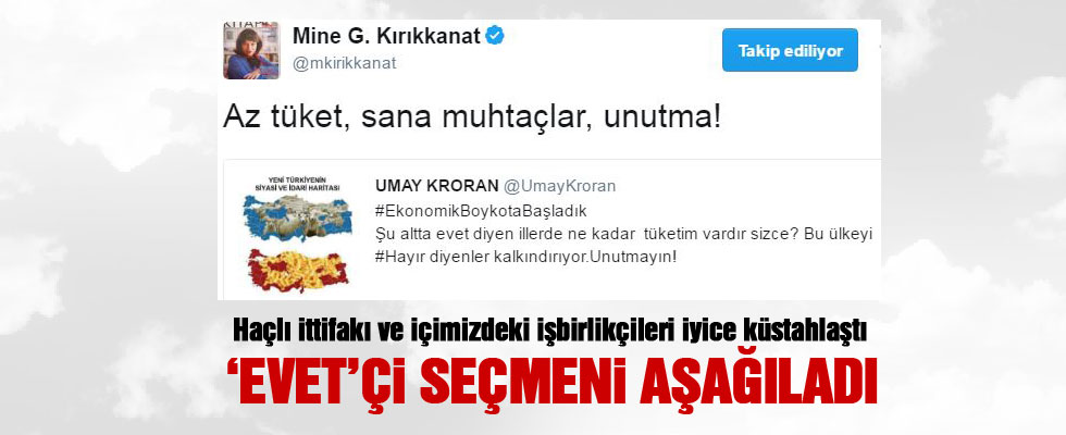 Mine Kırıkkanat'tan skandal tweet