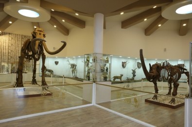 Türkiye'nin İlk Ve Tek Zooloji Ve Doğa Müzesi Açılıyor