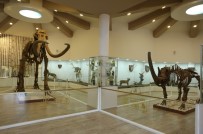 GAZİANTEP HAYVANAT BAHÇESİ - Türkiye'nin İlk Ve Tek Zooloji Ve Doğa Müzesi Açılıyor