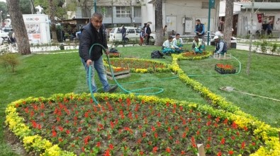 Burhaniye'de Park Ve Refüjlere Belediye Güzelliği