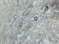 YEŞILBAYıR - Tam 121 Terörist!