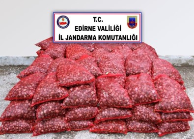 Edirne'de 2 Ton Canlı Midye Ele Geçirildi