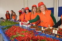 İSMAIL ÇORUMLUOĞLU - Ege'nin En Büyük Kiraz Pazarı Açıldı