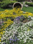 KAR UYARISI - Erken Baharla Birlikte Açan Çiçekler Rengarenk Görüntülere Neden Oluyor