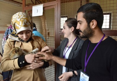 Genç İletişimcilerden Hayvan Barınağı'na Ziyaret