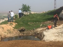 Köpek Sahiplenme Kavgası Açıklaması 2 Ölü, 5 Yaralı