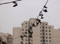 Ayakkabıları Çalıp, Elektrik Kablolarına Astılar