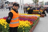 İSTANBUL LALE FESTİVALİ - Taksim Meydanı'ndaki Laleler Koruma Altında