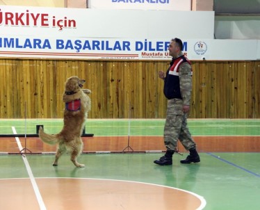 23 Nisan'da Jandarmadan Köpeklerle Gösteri