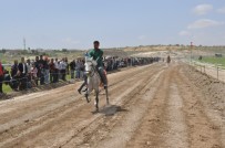 AT YARIŞLARI - Rahvan At Yarışları İlk Kez Nizip'te Düzenlendi