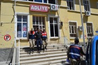 KÖSECELI - Besni'de Araması Olan Şahıs Yakalanarak Tutuklandı