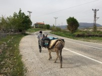 İNLICE - Heyelan Nedeniyle Eşek Sırtında Su Taşıyorlar