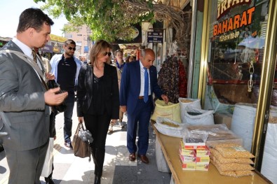 Sequa Türkiye Temsilcisi Aynur Kuytu'nun Ziyaretleri Sürüyor