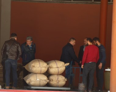 Toprak Mahsulleri Ofisi Giresun'da Fındık Alımına Başladı