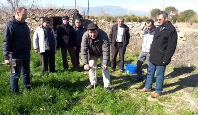 Aydın'da 191 Çiftçiye Eğitim Verildi